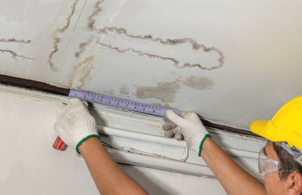 Reliable Water Damage Repair contractor in Franklin, MA by Hirex Water Damage